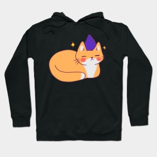 Orange wizard cat Hoodie